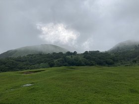IMG_7017.JPG