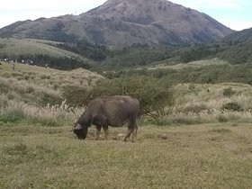 WP_20170129_12_43_12_Pro.jpg