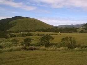 WP_20170129_12_43_19_Pro.jpg