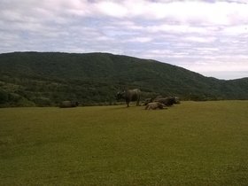 WP_20170129_12_43_26_Pro.jpg