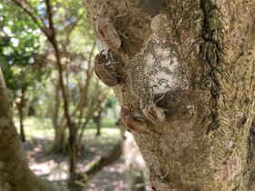 IMG_6551.JPG