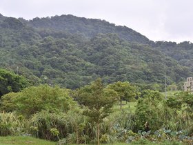 Shanshuilu Eco Park