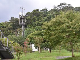 DSC_0339.JPG