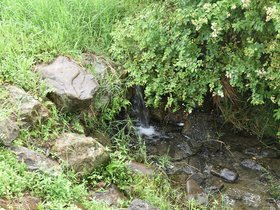 DSC_0358.JPG