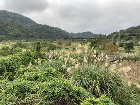 IMG_2991.JPG