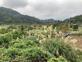 IMG_2992.JPG