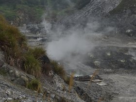 DSC_1808.JPG