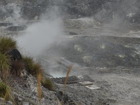 DSC_1809.JPG