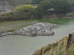 DSC_1811.JPG