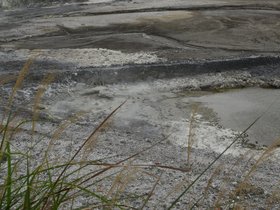 DSC_1812.JPG