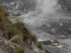 DSC_1818.JPG