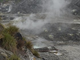 DSC_1819.JPG
