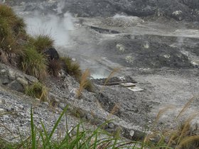 DSC_1820.JPG