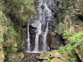 IMG_1109.JPG