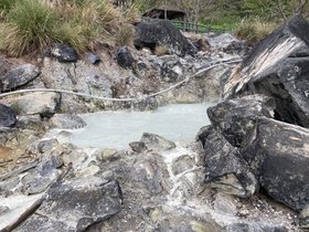 IMG_1118.JPG