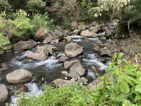 IMG_1123.JPG