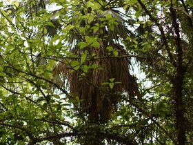 DSC_5315.JPG