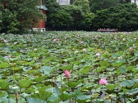 DSC_5603.JPG