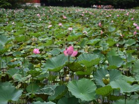 DSC_5607.JPG