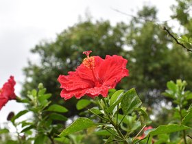 DSC_5661.JPG