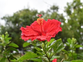 DSC_5662.JPG
