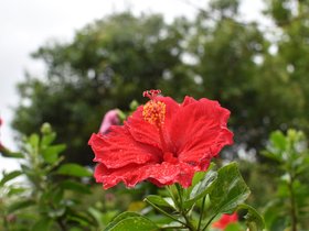 DSC_5663.JPG