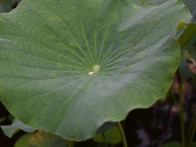 DSC_5665.JPG