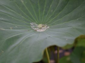 DSC_5669.JPG