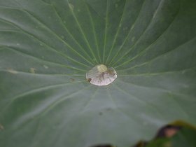 DSC_5670.JPG
