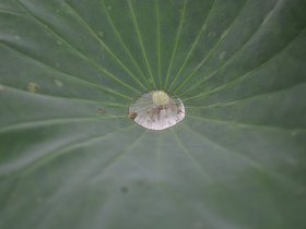 DSC_5671.JPG