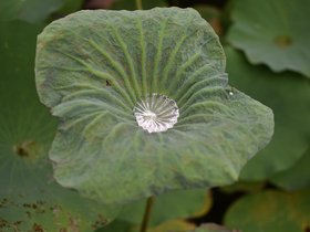 DSC_5672.JPG