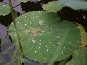 DSC_5673.JPG