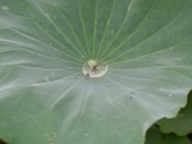 DSC_5680.JPG