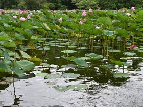 DSC_5690.JPG