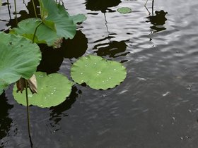 DSC_5691.JPG
