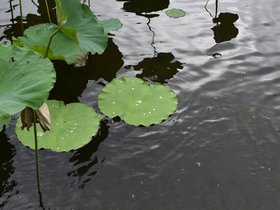 DSC_5692.JPG