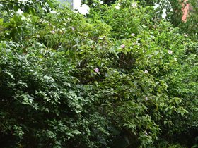 DSC_5719.JPG