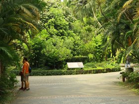 IMG_3480.JPG