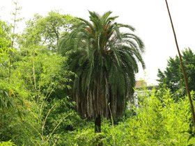 IMG_3484.JPG