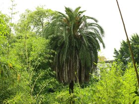 IMG_3485.JPG