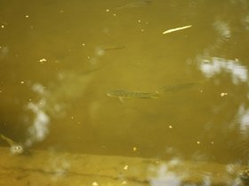 IMG_3497.JPG