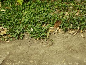 IMG_3505.JPG