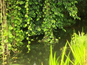 IMG_3506.JPG