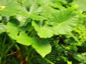 IMG_3520.JPG