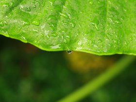 IMG_3527.JPG