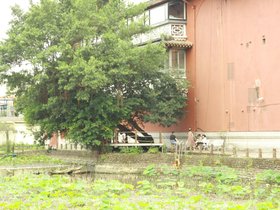IMG_3537.JPG