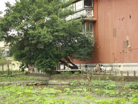 IMG_3541.JPG