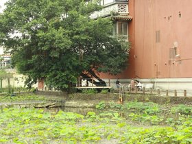 IMG_3542.JPG