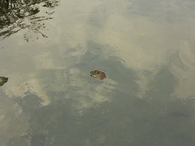 IMG_3546.JPG