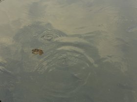 IMG_3547.JPG